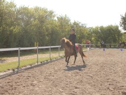 img_7229_web